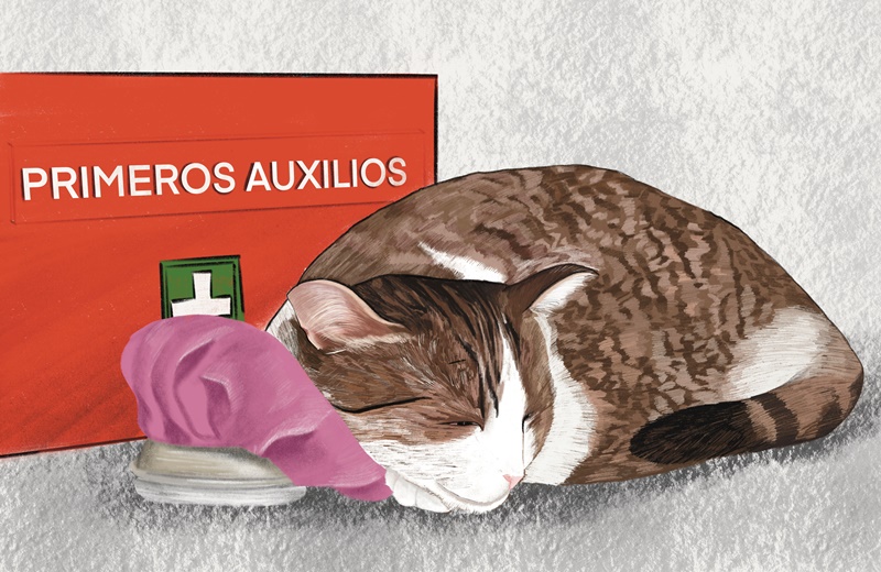 Primeros Auxilios para perros y gatos. <br>Virtual o presencial